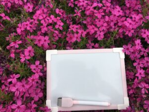 社会人になってから幼なじみとの恋愛を周りに伝える方法